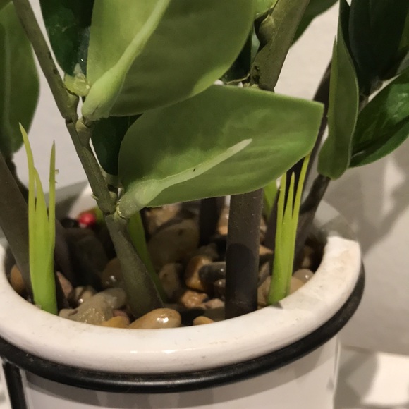 Faux Plant Artificial ZZ Plant Faux Greens NEW Perfect Size FINAL SALE - Picture 3 of 8